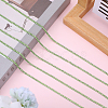 1 Roll Electrophoresis Iron Rhinestone Strass Chains CHC-GF0001-06C-6