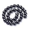 Natural Black Onyx Round Beads Strands GSR12mmC097-3