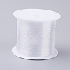 Fishing Thread Nylon Wire NWIR-G015-0.4mm-01-1