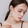 12 Pairs 12 Colors Transparent & Opaque Resin & Walnut Wood Stud Earring RESI-FH0001-42-5