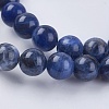 Natural Sodalite Beads Strands X-G-G448-8mm-25-3
