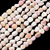 Natural Shell Beads Strands SHEL-K006-76-1
