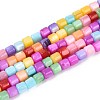 Dyed Natural Freshwater Shell Beads Strands SHEL-T020-56A-1