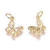 Brass Micro Pave Cubic Zirconia Pendants ZIRC-G168-34G-2