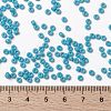 MIYUKI Round Rocailles Beads X-SEED-G008-RR0413-4
