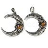 Natural Tiger Eye Pendants G-P547-04AS-02-1