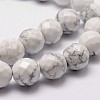 Natural Howlite Beads Strands G-D840-44-12mm-3