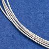 925 Sterling Silver Wire STER-NH0007-01B-S-4