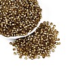 Silver Lined Glass Seed Beads SEED-T007-18A-11-1