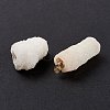 Natural Crystal Agate Pendants G-A189-01-3