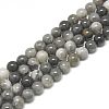 Natural Hawk's Eye Beads Strands G-S300-110-10mm-1