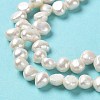 Natural Keshi Pearl Beads Strands PEAR-J007-49-4