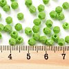 Baking Paint Glass Seed Beads SEED-A032-02A-4
