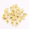 Tibetan Style Alloy Pendants LS-GLF1389Y-NF-2