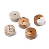 Natural Picture Jasper Beads Strands G-Z006-C28-3