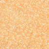 12/0 FGB Grade A Round Glass Seed Beads SEED-N001-F-231-2