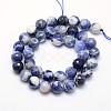 Natural Sodalite Beads Strands G-L149-10mm-01-2