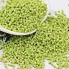 Baking Paint Glass Seed Beads X-SEED-S042-05B-62-1
