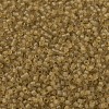 MIYUKI Delica Beads X-SEED-J020-DB0771-3