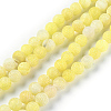 Natural Weathered Agate Beads Strands G-P414-A04-1