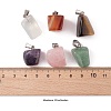 12Pcs 6 Style Natural & Synthetic Gemstone Pendants G-FS0001-35-2