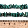 Natural HuBei Turquoise Bead Strands G-H345-A01-13-5