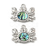 304 Stainless Steel Pave Natural Paua Shell Pendants STAS-C122-21A-01P-1