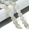 Natural White Agate Beads Strands G-H023-A19-01-1