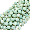 Natural Amazonite Beads Strands G-O201B-67A-1