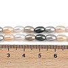 Electroplated Shell Pearl Beads Strands BSHE-H113-06C-03-4