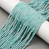 Natural Amazonite Beads Strands G-A276-A01-2mm-1