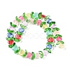 Transparent Glass Beads Strands GLAA-B021-04E-2