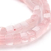 Natural Rose Quartz Beads Strands G-F631-K09-3