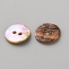 Natural Shell Buttons BUTT-WH0024-041B-2