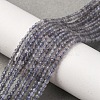 Natural Iolite Beads Strands G-D320-A01-2mm-1