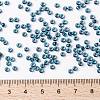 MIYUKI Round Rocailles Beads X-SEED-G008-RR0347-4