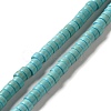 Synthetic Turquoise Dyed Beads Strands G-E594-20A-1