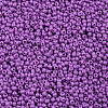 11/0 FGB Grade A Round Glass Seed Beads SEED-N001-A-1052-2