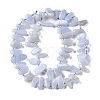 Natural Blue Lace Agate Beads Strands G-J403-03-2