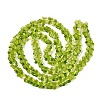 Transparent Glass Beads Strands GLAA-Q118-01A-B06-2
