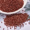 MIYUKI Delica Beads SEED-X0054-DB1838-1