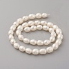 Natural Cultured Freshwater Pearl Beads Strands PEAR-G007-23-2