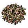 Natural Unakite Tumbled Chips PW-WGA7DCE-13-1