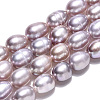 Natural Cultured Freshwater Pearl Beads Strands X1-PEAR-N012-04O-4
