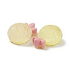 Transparent Resin Decoden Cabochons LS-RESI-F024-02-3