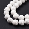 Natural Howlite Beads Strands G-E571-29B-4