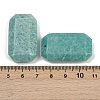 Natural Amazonite Pendants G-H325-03A-3