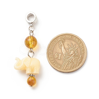 Opaque Resin and Natural Mixed Stone European Dangle Charms PALLOY-JF01764-1