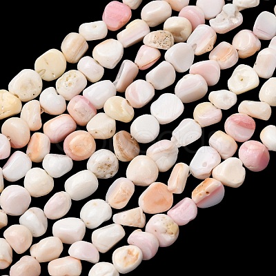Natural Shell Beads Strands SHEL-K006-76-1