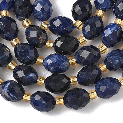 Natural Sodalite Beads Strands G-F809-A19-01B-1